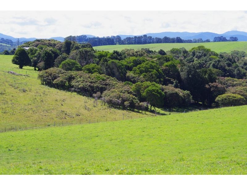 5597 Waterfall Way, Fernbrook, Dorrigo NSW 2453