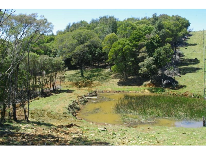 5597 Waterfall Way, Fernbrook, Dorrigo NSW 2453