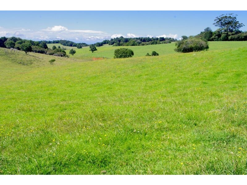 5597 Waterfall Way, Fernbrook, Dorrigo NSW 2453