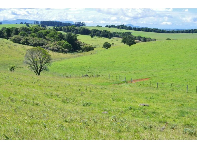 5597 Waterfall Way, Fernbrook, Dorrigo NSW 2453