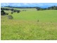 5597 Waterfall Way, Fernbrook, Dorrigo NSW 2453
