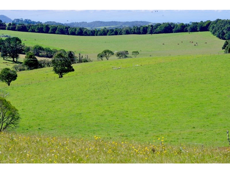 5597 Waterfall Way, Fernbrook, Dorrigo NSW 2453