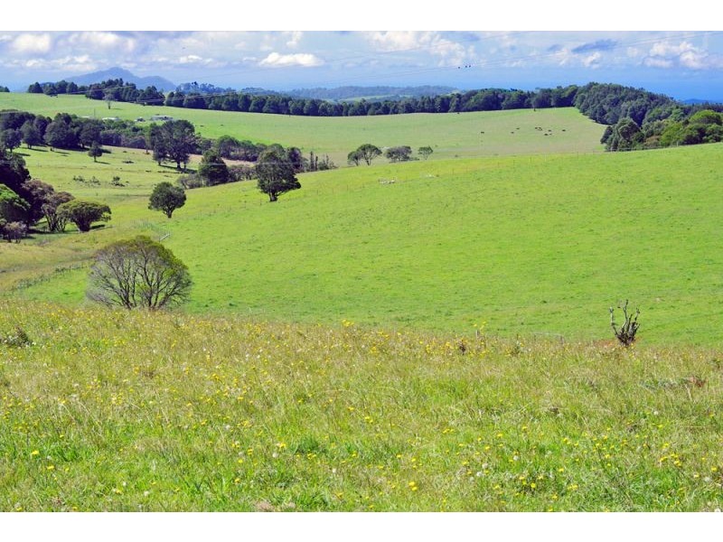 5597 Waterfall Way, Fernbrook, Dorrigo NSW 2453