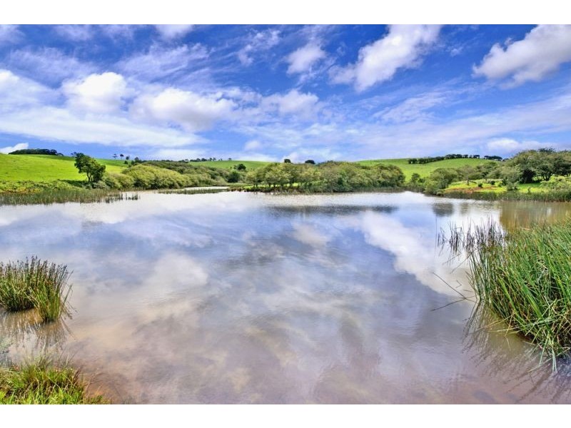 10 Rocky Creek Road, Dorrigo NSW 2453