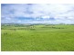 10 Rocky Creek Road, Dorrigo NSW 2453