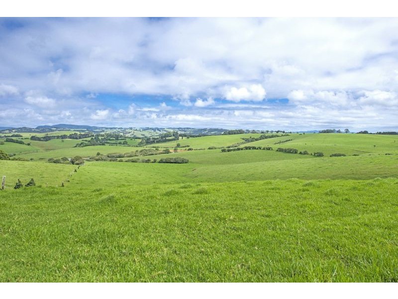 10 Rocky Creek Road, Dorrigo NSW 2453