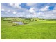 10 Rocky Creek Road, Dorrigo NSW 2453