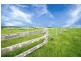10 Rocky Creek Road, Dorrigo NSW 2453