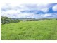 10 Rocky Creek Road, Dorrigo NSW 2453