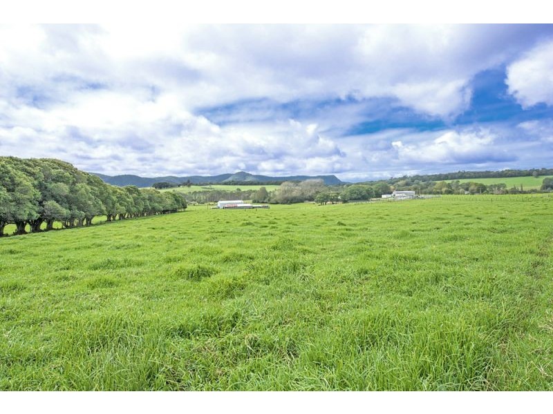 10 Rocky Creek Road, Dorrigo NSW 2453