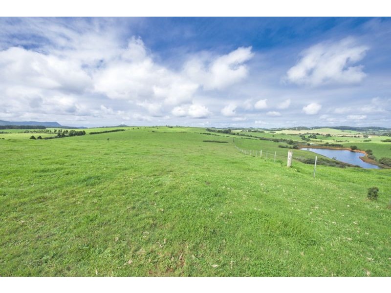 10 Rocky Creek Road, Dorrigo NSW 2453