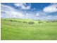 10 Rocky Creek Road, Dorrigo NSW 2453