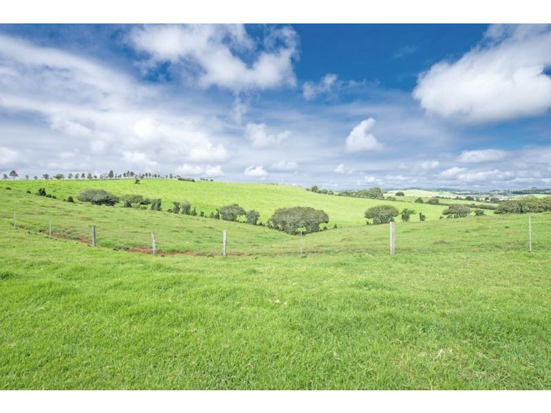 10 Rocky Creek Road, Dorrigo NSW 2453