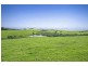 10 Rocky Creek Road, Dorrigo NSW 2453
