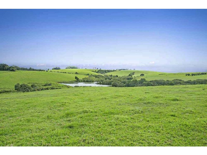10 Rocky Creek Road, Dorrigo NSW 2453