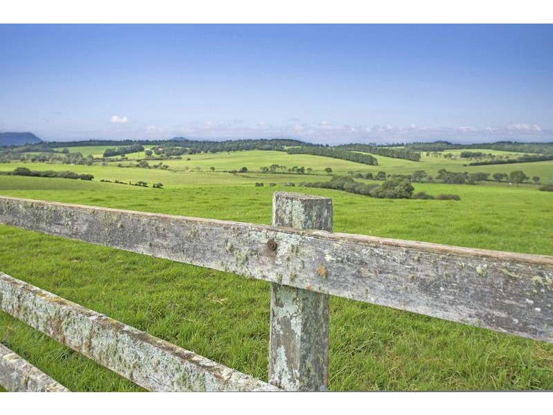 10 Rocky Creek Road, Dorrigo NSW 2453