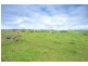 10 Rocky Creek Road, Dorrigo NSW 2453