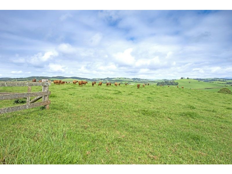 10 Rocky Creek Road, Dorrigo NSW 2453