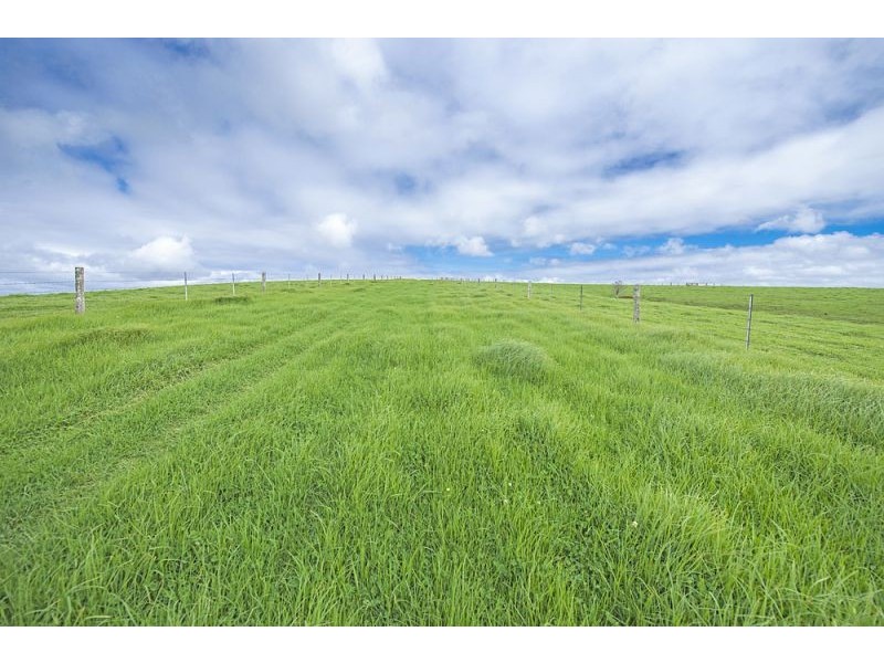 10 Rocky Creek Road, Dorrigo NSW 2453