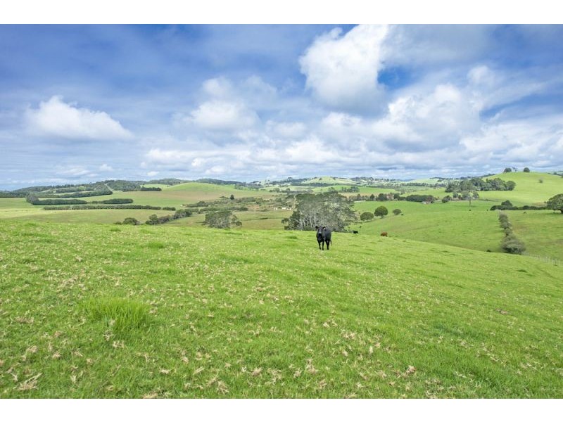 10 Rocky Creek Road, Dorrigo NSW 2453
