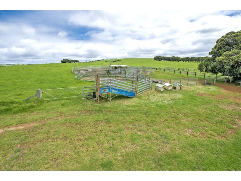 10 Rocky Creek Road, Dorrigo NSW 2453