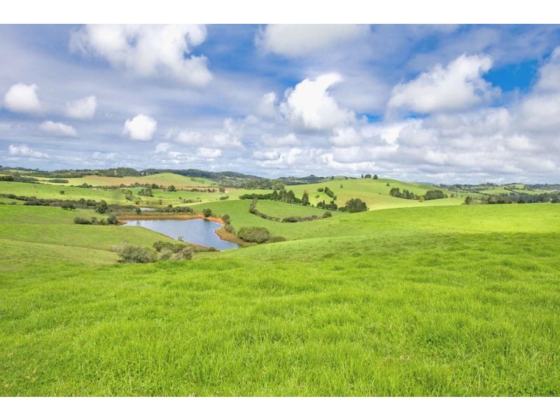 10 Rocky Creek Road, Dorrigo NSW 2453