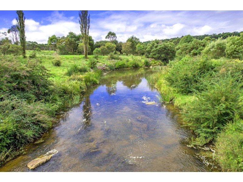 10 Rocky Creek Road, Dorrigo NSW 2453