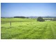 10 Rocky Creek Road, Dorrigo NSW 2453