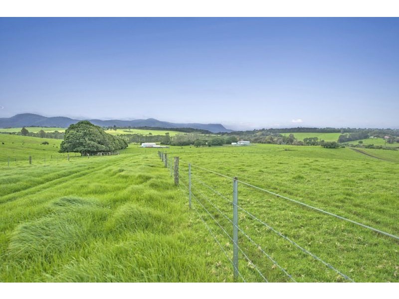 10 Rocky Creek Road, Dorrigo NSW 2453