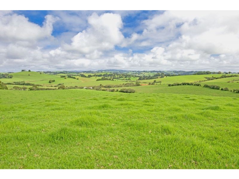 10 Rocky Creek Road, Dorrigo NSW 2453