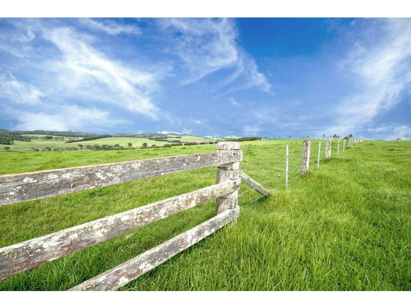 10 Rocky Creek Road, Dorrigo NSW 2453