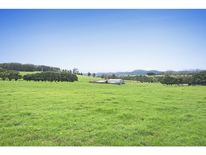 10 Rocky Creek Road, Dorrigo NSW 2453