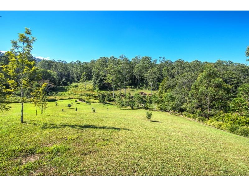 697 Bellingen Road, Missabotti NSW 2449
