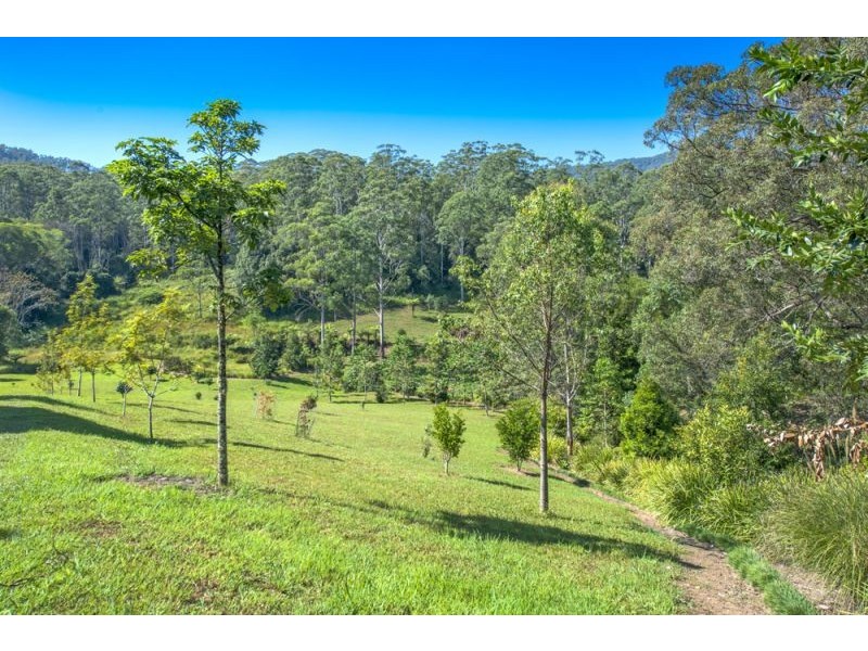 697 Bellingen Road, Missabotti NSW 2449