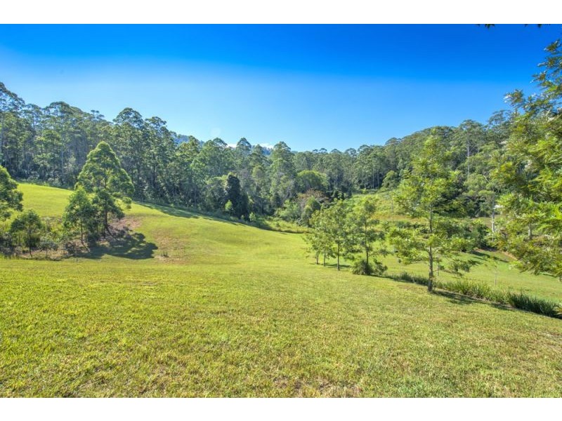 697 Bellingen Road, Missabotti NSW 2449