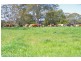 Lots 27, 98, 99 & 100 / 106 Harveys Road, Deer Vale, Dorrigo NSW 2453