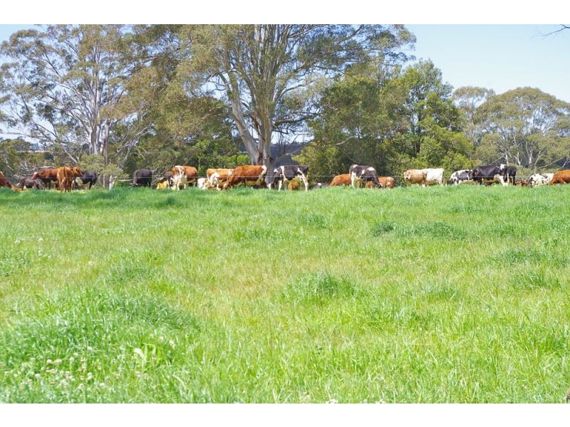 Lots 27, 98, 99 & 100 / 106 Harveys Road, Deer Vale, Dorrigo NSW 2453