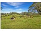 Lots 27, 98, 99 & 100 / 106 Harveys Road, Deer Vale, Dorrigo NSW 2453