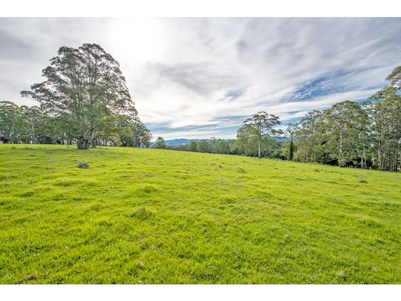 Lots 27, 98, 99 & 100 / 106 Harveys Road, Deer Vale, Dorrigo NSW 2453