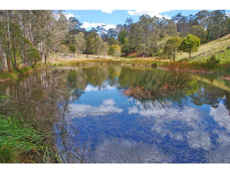 Lots 27, 98, 99 & 100 / 106 Harveys Road, Deer Vale, Dorrigo NSW 2453