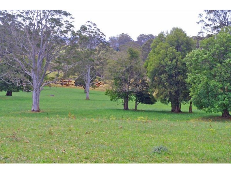 Lots 27, 98, 99 & 100 / 106 Harveys Road, Deer Vale, Dorrigo NSW 2453
