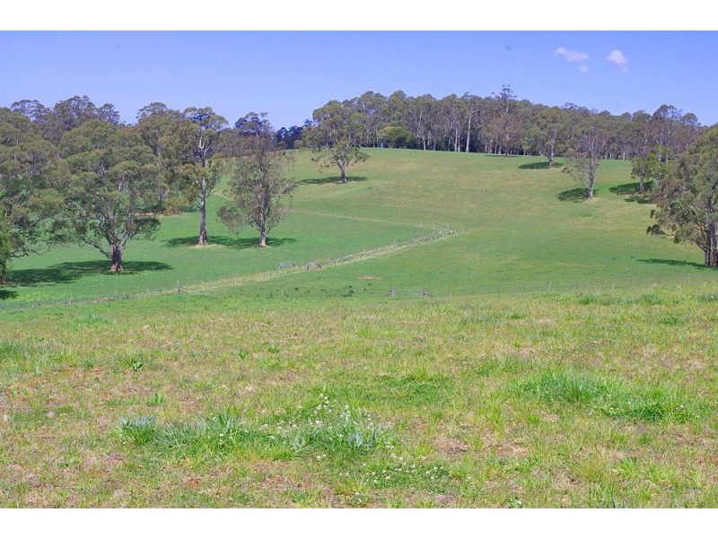 Lots 27, 98, 99 & 100 / 106 Harveys Road, Deer Vale, Dorrigo NSW 2453
