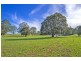 Lots 27, 98, 99 & 100 / 106 Harveys Road, Deer Vale, Dorrigo NSW 2453