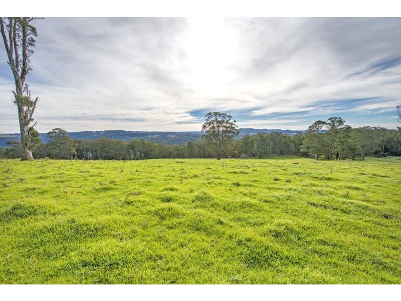 Lots 27, 98, 99 & 100 / 106 Harveys Road, Deer Vale, Dorrigo NSW 2453