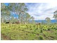 Lots 27, 98, 99 & 100 / 106 Harveys Road, Deer Vale, Dorrigo NSW 2453