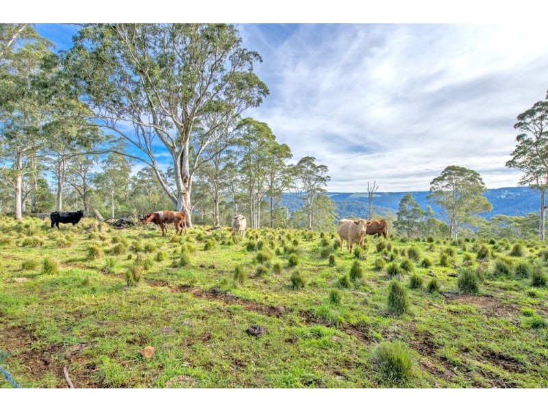 Lots 27, 98, 99 & 100 / 106 Harveys Road, Deer Vale, Dorrigo NSW 2453