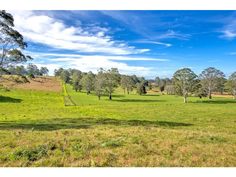 Lots 27, 98, 99 & 100 / 106 Harveys Road, Deer Vale, Dorrigo NSW 2453