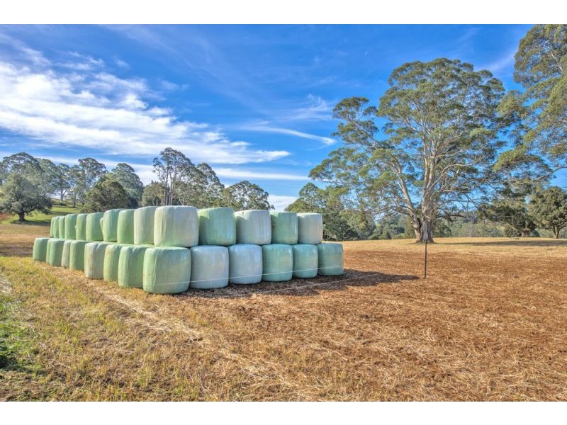 Lots 27, 98, 99 & 100 / 106 Harveys Road, Deer Vale, Dorrigo NSW 2453