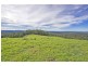 Lots 27, 98, 99 & 100 / 106 Harveys Road, Deer Vale, Dorrigo NSW 2453