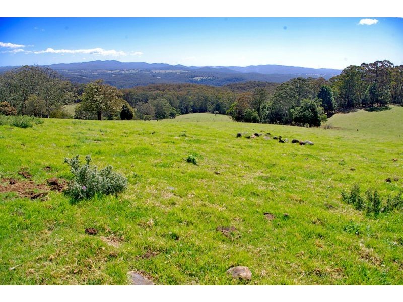 Lots 27, 98, 99 & 100 / 106 Harveys Road, Deer Vale, Dorrigo NSW 2453